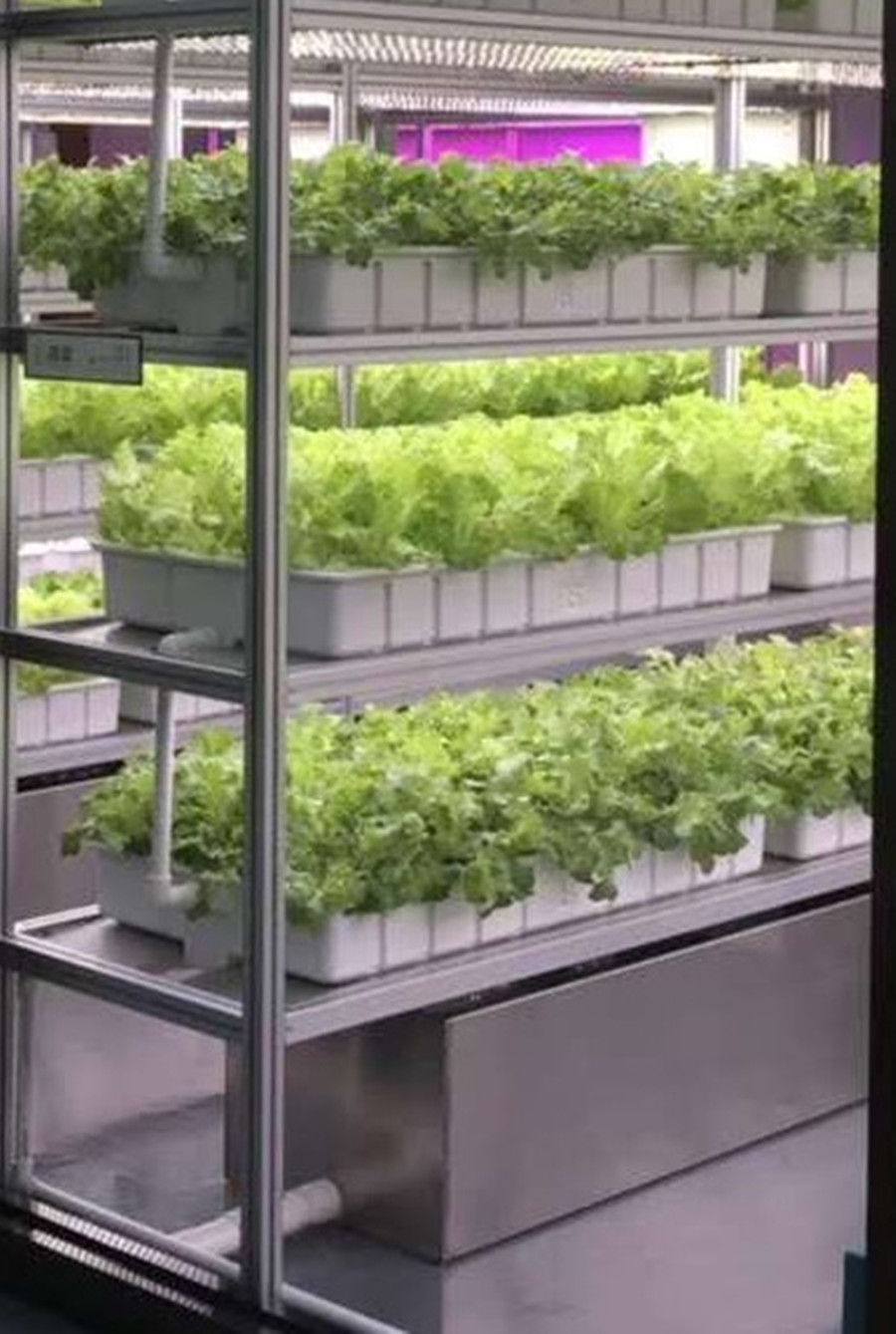 HSC-K智能蔬菜种植机（工厂版）