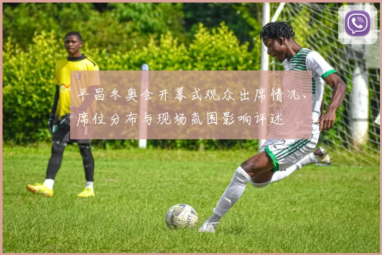 平昌冬奥会开幕式观众出席情况、席位分布与现场氛围影响评述