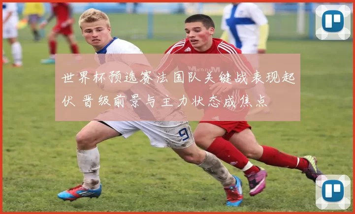 世界杯预选赛法国队关键战表现起伏 晋级前景与主力状态成焦点